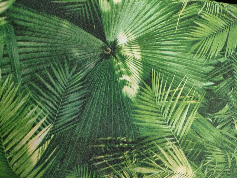 zielone-palmowe-liscie